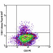 Alexa Fluor® 647 anti-mouse IL-4 Antibody (504112)