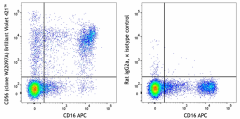 Brilliant Violet 421™ anti-human CD56 (NCAM) Antibody (343759)