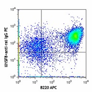 Purified anti-mouse CD124 (IL-4Rα) Antibody (144801)