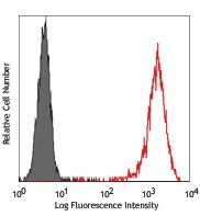 PE anti-human CD271 (NGFR) Antibody (345105)