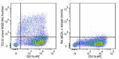 Purified anti-mouse CCL22 Antibody (167502)