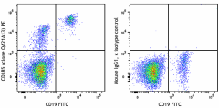 PE anti-human CD185 (CXCR5) Recombinant Antibody (382405)