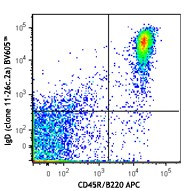 Brilliant Violet 605™ anti-mouse IgD Antibody (405727)