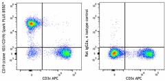 Spark PLUS B550™ anti-mouse CD19 Antibody (152433)