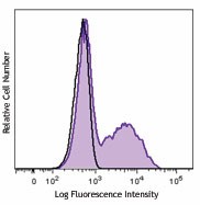 Alexa Fluor® 700 anti-mouse IL-17A Antibody (506914)