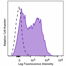 PE anti-mouse CD115 (CSF-1R) Antibody (165003)