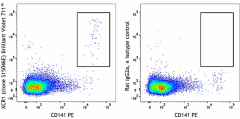 Brilliant Violet 711™ anti-human XCR1 Antibody (372633)