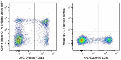 Brilliant Violet 605™ anti-human CD244 (2B4) Antibody (329535)