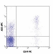 APC anti-human CD73 (Ecto-5'-nucleotidase) Antibody (344005)