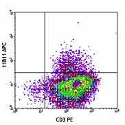 APC anti-mouse IL-4 Antibody (504105)
