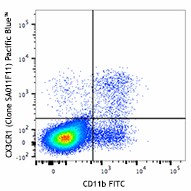 Pacific Blue™ anti-mouse CX3CR1 Antibody (149037)