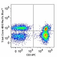 Pacific Blue™ anti-T-bet Antibody (644807)
