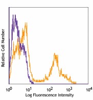 Pacific Blue™ anti-mouse TER-119/Erythroid Cells Antibody (116231)