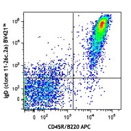 Brilliant Violet 421™ anti-mouse IgD Antibody (405725)
