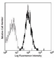 Purified anti-human CD255 (TWEAK) Antibody (308302)