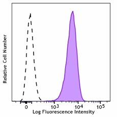 APC/Fire™ 750 anti-mouse FcεRIα Antibody (134339)