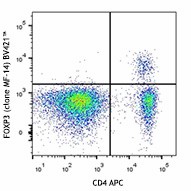 Brilliant Violet 421™ anti-mouse FOXP3 Antibody (126419)