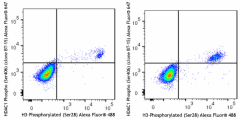 Alexa Fluor® 647 anti-HDAC1 Phospho (Ser406) Antibody (611009)