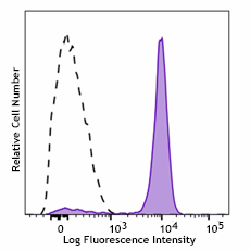 PE/Cyanine7 anti-human CD33 Antibody (381605)
