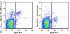 PE/Cyanine7 anti-mouse CD244.2 (2B4 B6 Alloantigen) Antibody (133511)