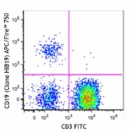 APC/Fire™ 750 anti-human CD19 Antibody (302257)