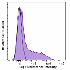 Brilliant Violet 750™ anti-human CD137 (4-1BB) Antibody (309843)