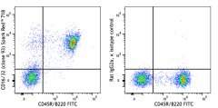 Spark Red™ 718 anti-mouse CD16/32 Antibody (101349)