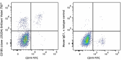 Brilliant Violet 750™ anti-human CD185 (CXCR5) Antibody (356941)