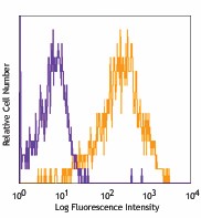 PE anti-mouse CD278 (ICOS) Antibody (117405)
