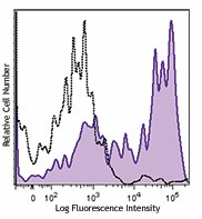 PE anti-mouse ENPP1 Antibody (149203)