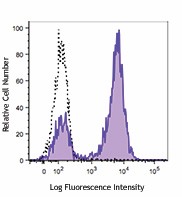 FITC anti-human CD5 Antibody (364021)