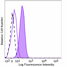 PE anti-FOXO1 Antibody (947203)