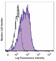 PE anti-human CD36L1 (SCARB1, SR-BI) Antibody (363203)