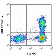 FITC anti-human IL-2 Antibody (500305)