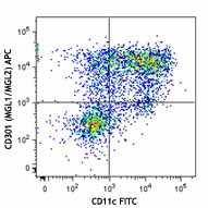 APC anti-mouse CD301 (MGL1/MGL2) Antibody (145707)