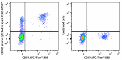 Spark PLUS B550™ anti-human CD185 (CXCR5) Recombinant Antibody (382407)