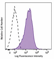 Purified anti-mouse CD365 (Tim-1) Antibody (151702)