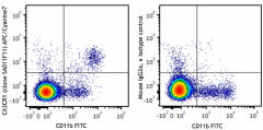 APC/Cyanine7 anti-mouse CX3CR1 Antibody (149047)