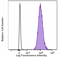 Purified anti-human CD80 Antibody (375402)