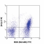 PE anti-mouse CD196 (CCR6) Antibody (129803)