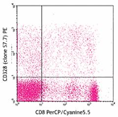 PE anti-human CD328 (Siglec-7) Antibody (347703)