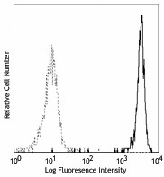 PE anti-human CD181 (CXCR1) Antibody (320608)