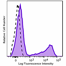 GMP APC anti-human IFN-γ Antibody (260372)