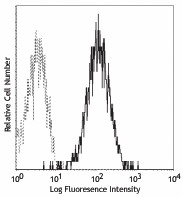 PE anti-mouse CD254 (TRANCE, RANKL) Antibody (510005)