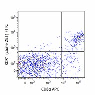 FITC anti-mouse/rat XCR1 Antibody (148209)