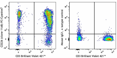 PE/Cyanine7 anti-human CD226 (DNAM-1) Antibody (338315)