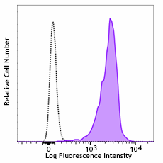 Alexa Fluor® 488 anti-mouse CD47 Antibody (127529)