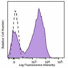 PerCP/Cyanine5.5 anti-mouse I-Ab Antibody (116415)