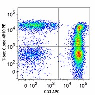 PE anti-T-bet Antibody (644809)