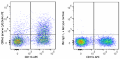 PE anti-mouse CD163 Recombinant Antibody (111803)